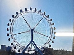 -九龙公园