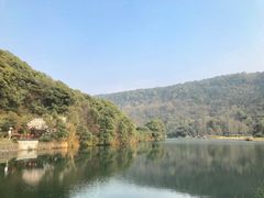 -桃花岭景区