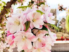 -元大都城垣遗址公园