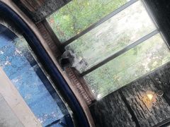 -芭东小镇温泉