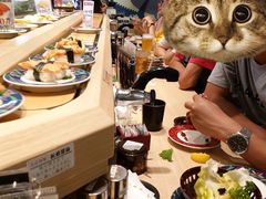 -大起水产回转寿司(道顿堀店)
