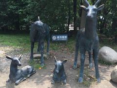 -溱湖国家湿地公园