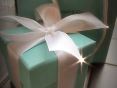 -Tiffany & Co.蒂芙尼
(杭州大厦店)