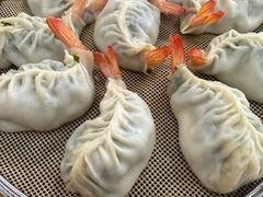-小叶大馅饺子城
