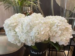 -花到家(富贵鸟花艺行)