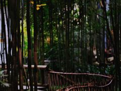 -成都杜甫草堂博物馆