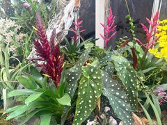 -上海鲜花港