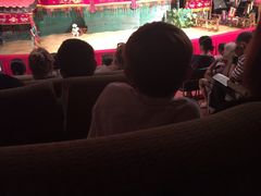 -金龙水上木偶剧院