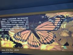 -上海昆虫博物馆