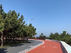 -日照海滨国家森林公园