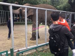 -西安秦岭野生动物园