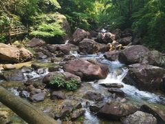 -花岩国家森林公园