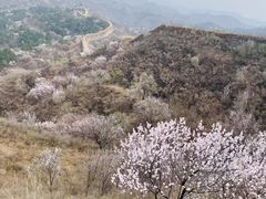 -蟠龙山长城景区