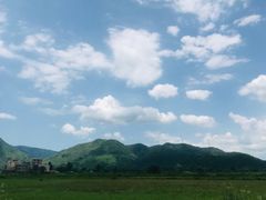 -盐洲岛