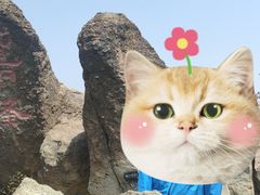 -鹫峰国家森林公园