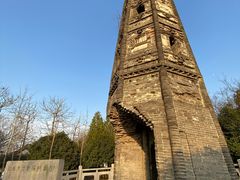 -上海佘山国家森林公园天马山园