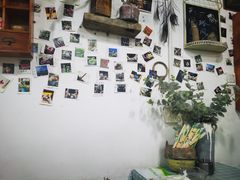 大堂-冷峰马家鸡蛋牛奶醪糟(八朗学五巷店)
