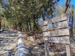 -阳台山自然风景区
