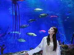 -沈阳海洋探索中心