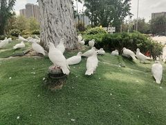 -成都华侨城欢乐里