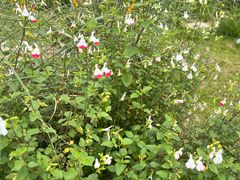 -宁波儿童公园(鄞州区)