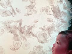 -沈阳海洋探索中心