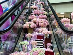 -鹏欣水游城