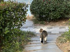 -云龙湖旅游景区