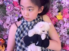 -观音桥步行街