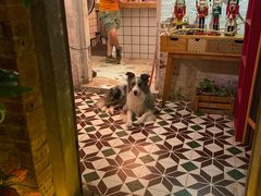 大堂-慢遊咖啡(下坝坊店)