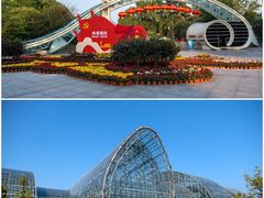-南山植物园