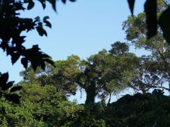 -海口火山口国家地质公园