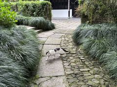 -法云安缦酒店