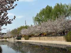 -元大都城垣遗址公园