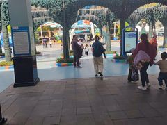 -海合安成都极地海洋公园