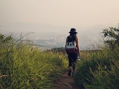 -长虫山生态公园风景林