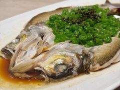 -三利音·浦之舟(滨江大道店)