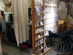 -猫的天空之城概念书店(西塘古镇店)