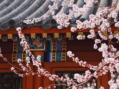 -北海公园