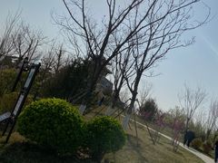 -水西公园