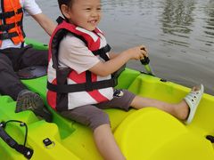 -春花秋色城市公园