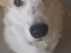 -平行世界·猫咖(首经贸店)