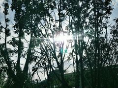 -皇粮浜公园
