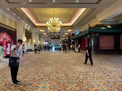 -澳门威尼斯人综合度假区