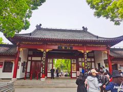 -南汇桃花村