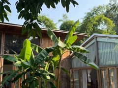 -柠檬花院烤肉·会议团建·聚会·求婚(三圣乡店)