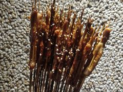 -老表记广西宵夜螺蛳鸭脚煲(西大店)