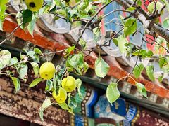 -潭柘寺景区