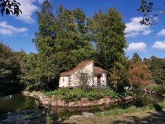 -上海共青森林公园