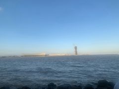 -吴淞炮台湾湿地森林公园烧烤区